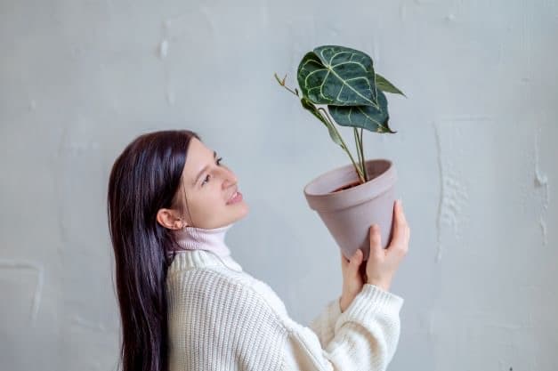 Keyword semantic map and audience segmentation structure for Vesna campaign